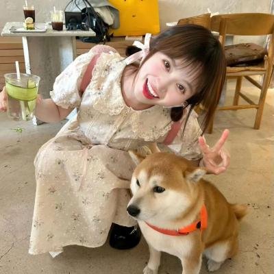 和歌子酒 第4季